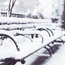  ,  -  24  2017   Pictures