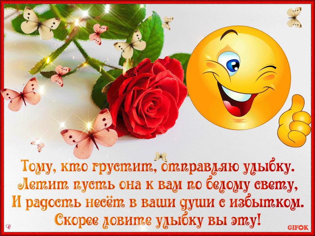  ,   ... - 31  2017  11:57