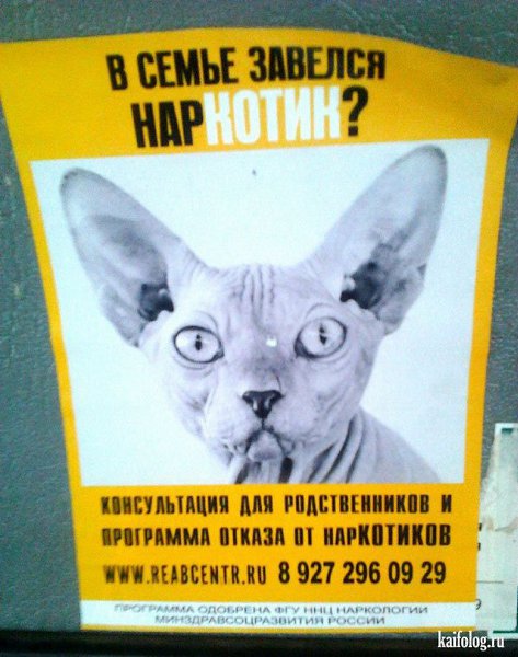 ��� ��������, ������� - ��������� ��������. ��������, � ���������� ���������� ����������. ���� �� ... - 25