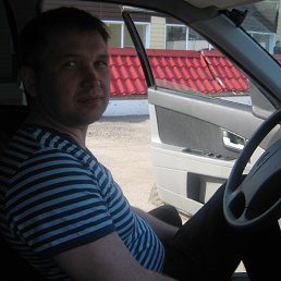 ������, ������, 51 ���