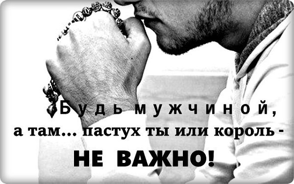 ����� �����. - 21 �������� 2016 � 18:36