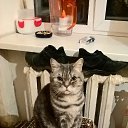 ����� �� ������� ���� ����������