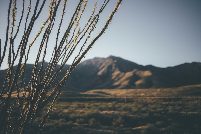 Arizona - 4