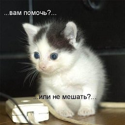 ���� �������, ���������, 48 ��� - ��������� 5 ������� 2016