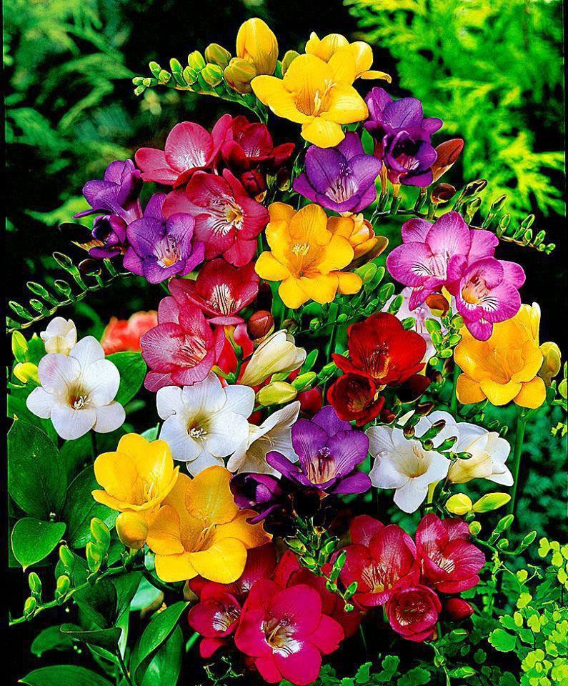 !     .  ! , , . !   ...