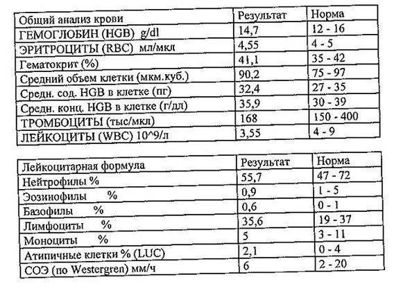 Расшифровка анализа крови RBC: норма, показатели, значения