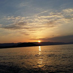 ���� V...., ������ - ��������� 15 ������� 2016