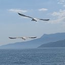 ���� Aleksandr, ������, 62 ���� - ��������� 3 ������� 2017 � ������ ���� ����������