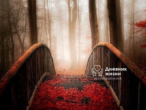 Сдаться в начале пути-это слабость. Сдаться в середине пути-это глупость. Поэтому ты либо не начинай ...