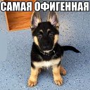 ���� Elena, ������, 52 ���� - ��������� 11 �������� 2016 � ������ ���� ����������