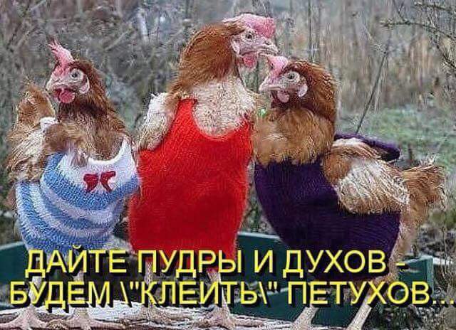   - 10  2016  22:44