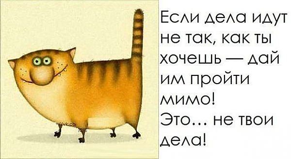    - 3  2016  20:04