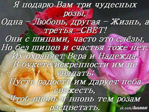  - 8  2017  09:55