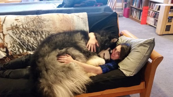 ��� �������� ���� �����������, ���� ������� ���� �� ������