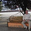  , , 83  -  8  2016    2016.