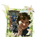 ���� ��������, �������� - ��������� 8 ����� 2017 � ������ ���� ����������