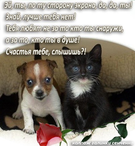 ~Dasha~ - 21  2016  12:55