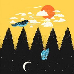 �����, �������, 41 ���