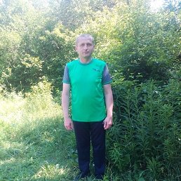 ���� �������, �������, 46 ��� - ��������� 20 ������� 2016