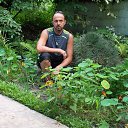 ���� ������, �������������� - ��������� 10 ������� 2016 � ������ ���� ����������