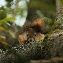 ���� �����, ������ - ��������� 26 ������ 2016 � ������ ������ ��������