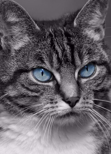       - 10  2016  22:45 - 3