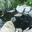 ���� ���������, ������, 69 ��� - ��������� 3 ������ 2016 � ������ ���� ����������