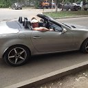 ���� ������, ������, 42 ���� - ��������� 28 ������� 2016 � ������ ���� ����������