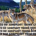  Grant, , 49  -  3  2016   