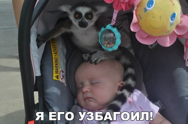    :D - 12  2016  01:04