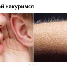 ������, ������, 45 ���