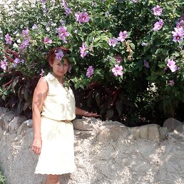 �����, ������, 55 ���