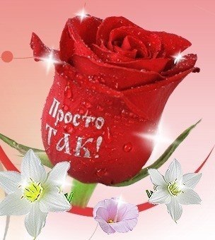 — Гарри Поттер — это эпоха. Эта история на которой выросло целое поколение детей. Гарри Поттер ...