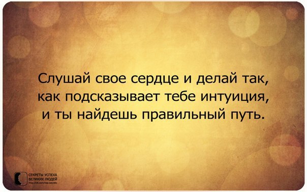     - 22  2017  13:51