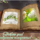  ,  -  6  2016    ,   2016