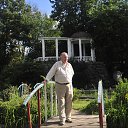  , , 83  -  8  2016    2016.