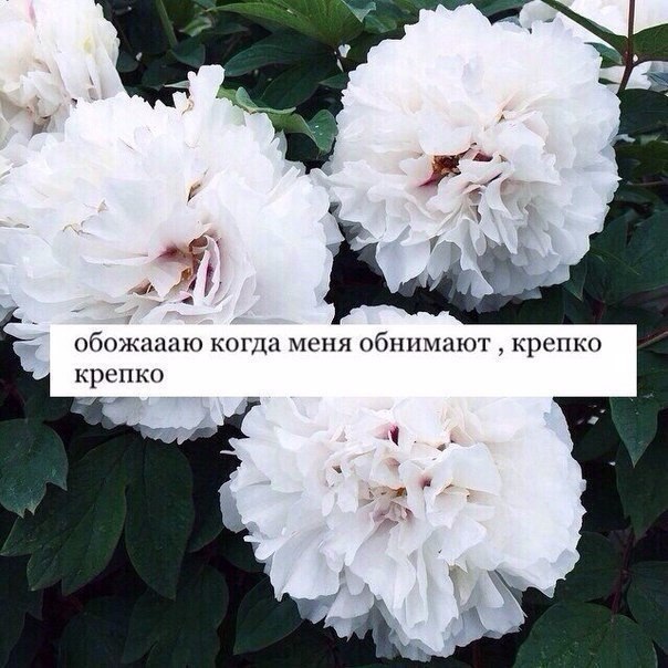    - 15  2016  23:15