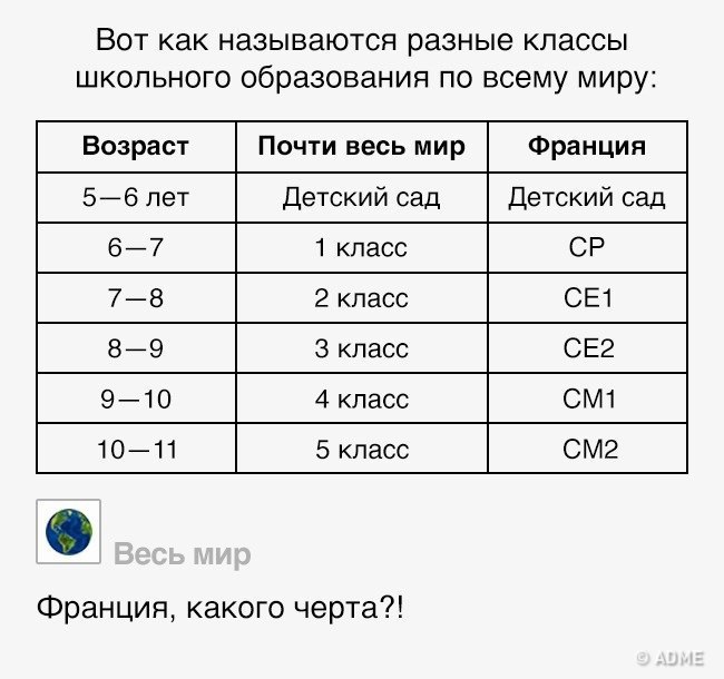      . - 6