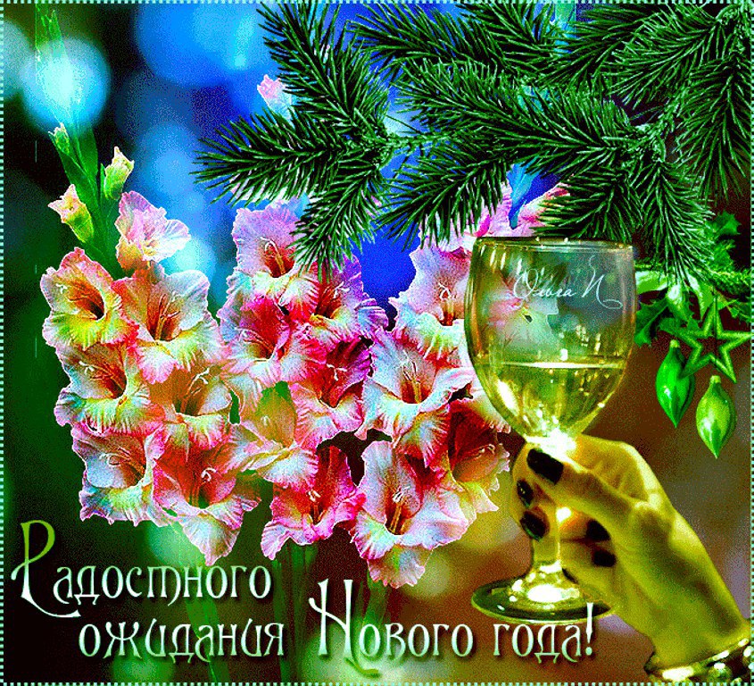 �������� - 21 ������� 2016 � 00:21