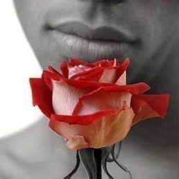 ������!!!, ������, 41 ���