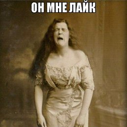 ���� �����, �����-��������� - ��������� 29 ������ 2017