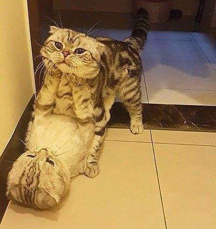     ,      :)