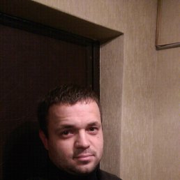 ����, �����-���������, 41 ���