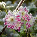 ���� �����, �����, 64 ���� - ��������� 22 ������� 2016 � ������ ������� ���������