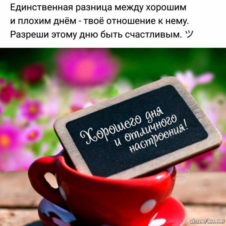 ,   ... - 31  2017  16:04