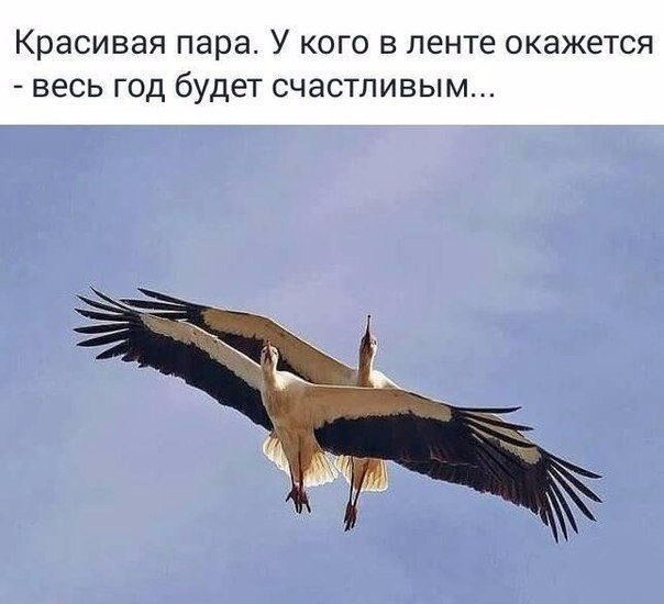   -  ,  -  - 30  2016  04:13