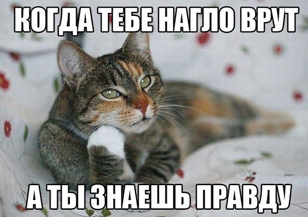    :D - 8  2017  11:15