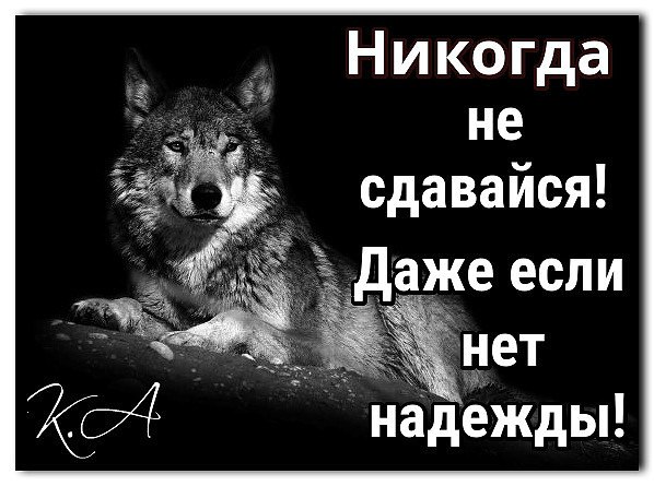   - 3  2016  05:01 - 2