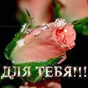 ���� ����, ������������ - ��������� 24 ������� 2016 � ������ ������ ��������