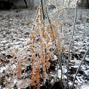 ���� Seleniya, ������, 50 ��� - ��������� 8 ������� 2017 � ������ ������ ��������